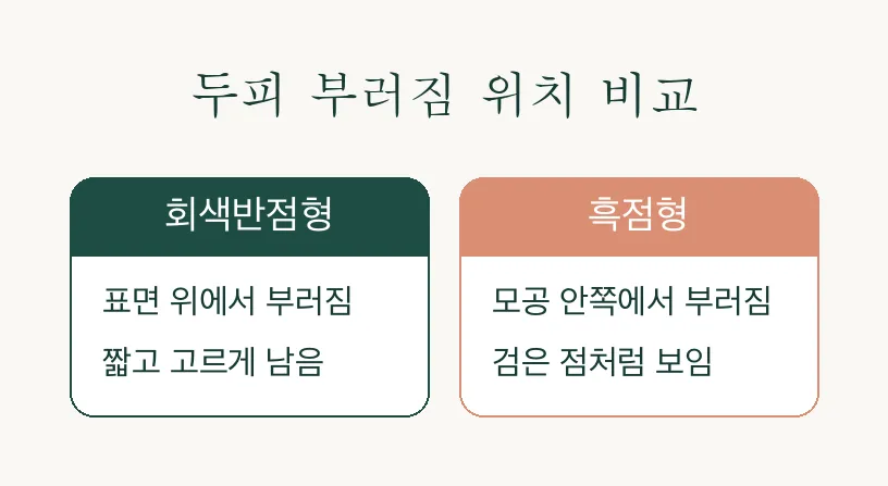 두부백선, 검은 점처럼 보이는 이유가 있었어요 관련 이미지 3
