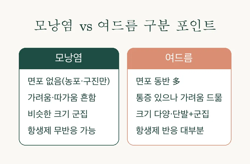 모낭염 vs 여드름, 어떻게 구분할까요? 원인부터 치료까지 알아보기 관련 이미지 2