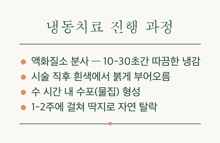 사마귀 냉동치료, 원리부터 시술 과정까지 알아보기 관련 이미지 3
