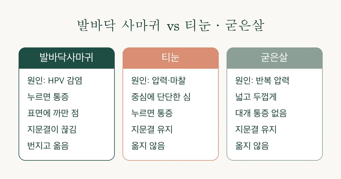 사마귀, 종류별 특징부터 자가 관리까지 알아보기 관련 이미지 3