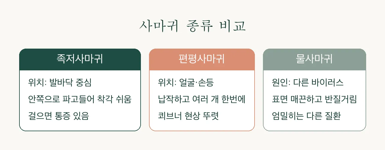 손 심상성 사마귀, 오돌토돌한 돌기가 자꾸 늘어난다면 관련 이미지 3