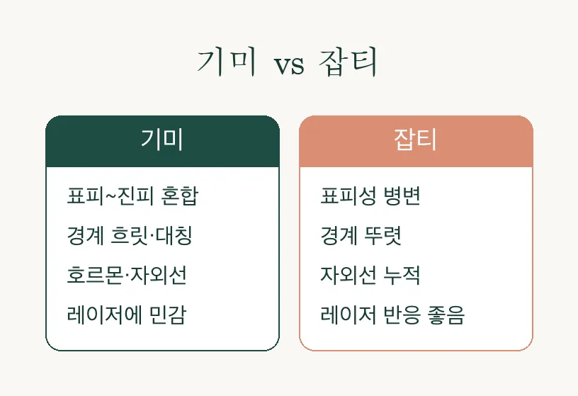 여름 색소 레이저 — 기미부터 잡티까지 원인과 치료 정보 관련 이미지 3