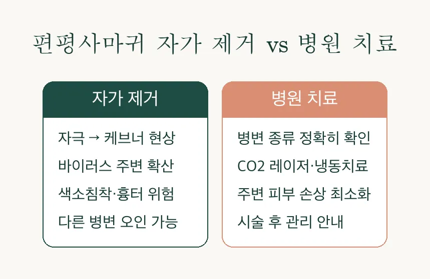 시흥동 피부과 - 편평사마귀, 치료 전 알아야 할 2가지 관련 이미지 3