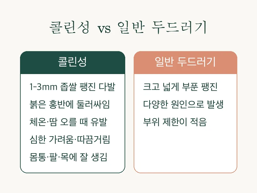 콜린성 두드러기, 운동만 하면 좁쌀처럼 돋는 이유 관련 이미지 2