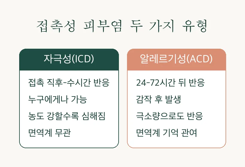 피부과 정보 — 화장품 · 금속 · 땀, 여름 접촉성 피부염 원인 총정리 관련 이미지 3