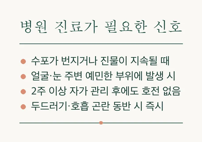 피부과 정보 — 화장품 · 금속 · 땀, 여름 접촉성 피부염 원인 총정리 관련 이미지 7