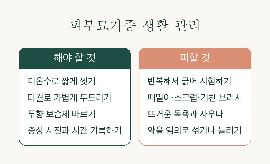 피부묘기증 피부 그림증, 가볍게 스쳐도 가렵게 부푼다면 관련 이미지 4