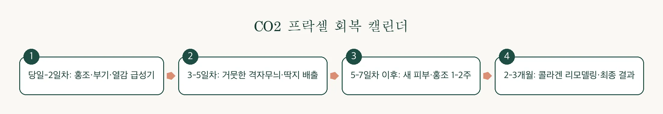 CO2 프락셀 다운타임 회복 캘린더, 거뭇한 격자무늬는 언제 사라질까요? 관련 이미지 3