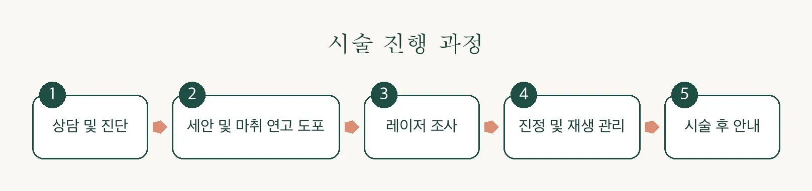 CO2 프락셀 진행 과정 인포그래픽 — 상담부터 시술 후 안내까지