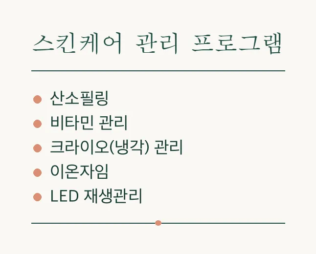 스킨케어 관리 프로그램 5종 요약 인포그래픽